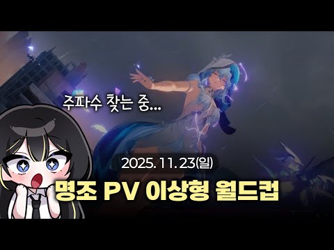 심상치 않은 뉴비의 명조 PV 이상형 월드컵